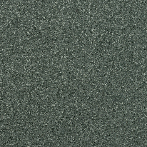 Maximus Saxony Carpet [18]