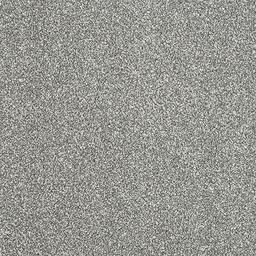 Maximus Saxony Carpet [18]