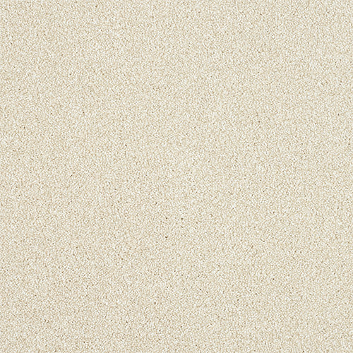 Maximus Saxony Carpet [18]