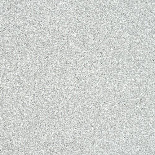 Maximus Saxony Carpet [18]