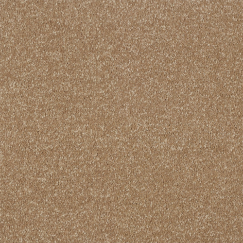 Maximus Saxony Carpet [18]