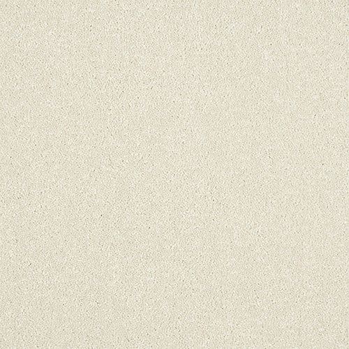 Maximus Saxony Carpet [18]