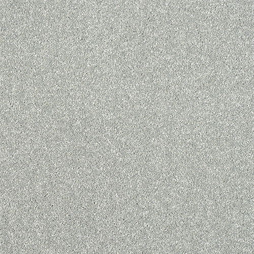 Maximus Saxony Carpet [18]