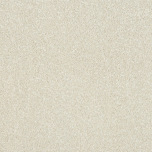 Maximus Saxony Carpet [18]