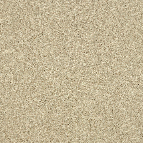 Maximus Saxony Carpet [18]