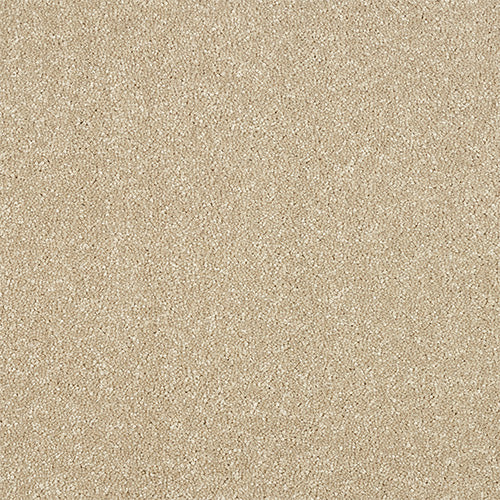 Maximus Saxony Carpet [18]