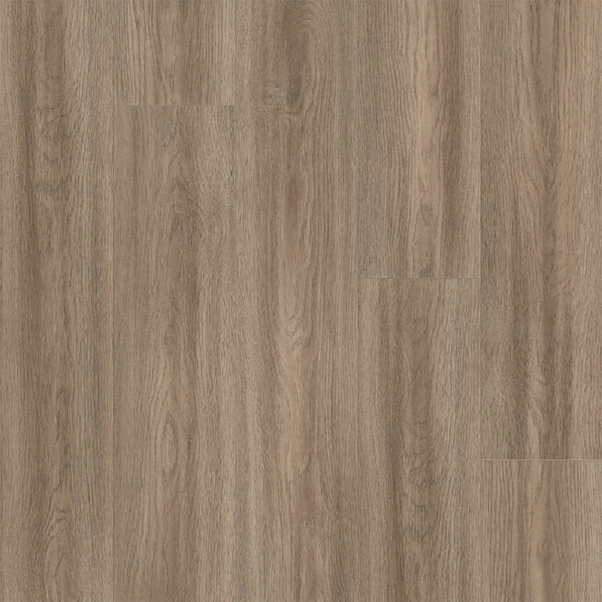 Alberta 8mm Laminate Floor [10]