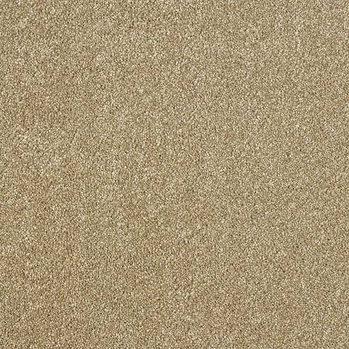 Aristocat Saxony Carpet [17]