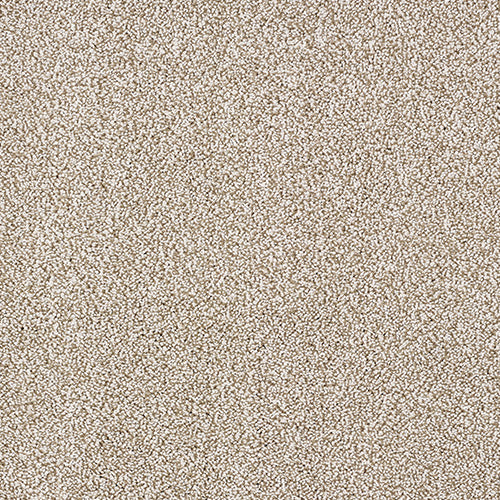 Aristocat Saxony Carpet [17]