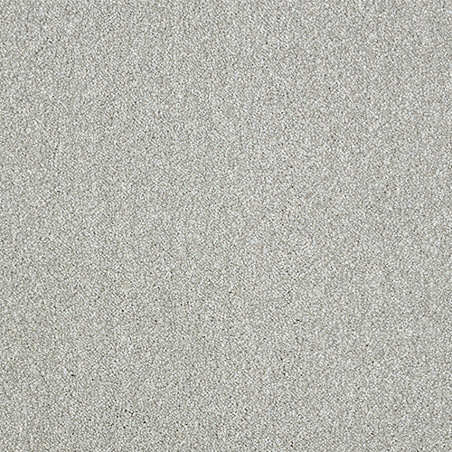 Aristocat Saxony Carpet [17]