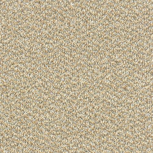 Tweed Twist Carpet [20]