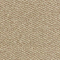 Tweed Twist Carpet [20]