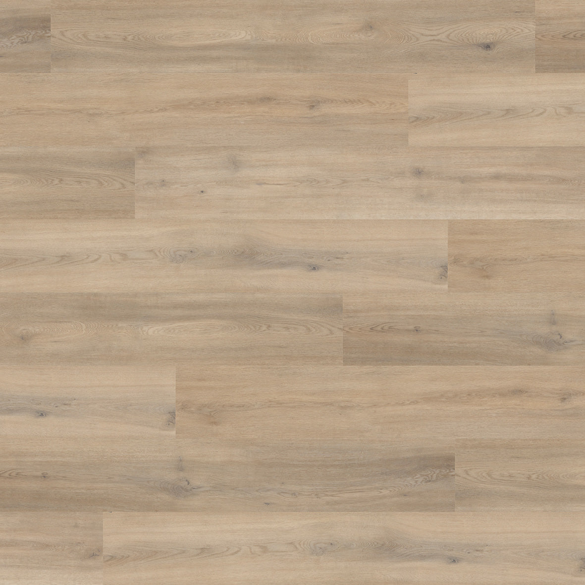 Naked Blond Oak Camaro PUR LVT